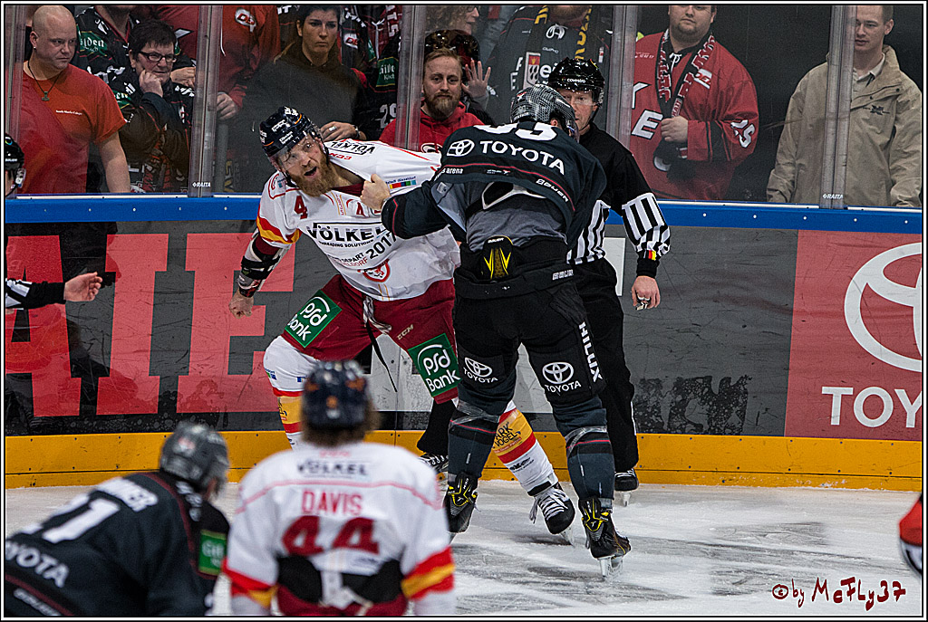 DEL, Koelner Haie - Duesseldorfer EG, 14.02.2017